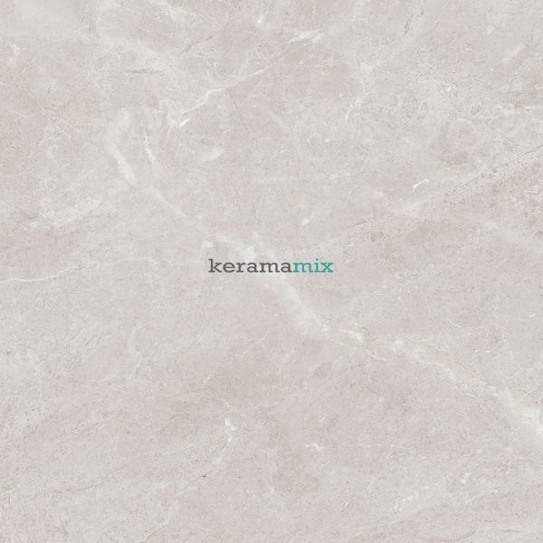 Керамогранит Teo Ceramics (Allore) | Arber Silver F P 600x600x8 R Mat 1 11658 фото