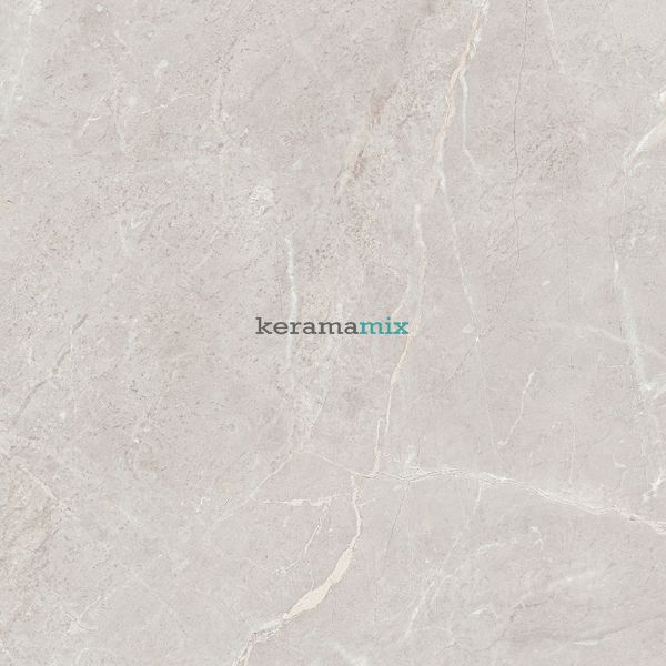 Керамограніт Teo Ceramics (Allore) | Arber Silver F P 600x600x8 R Mat 1 11658 фото