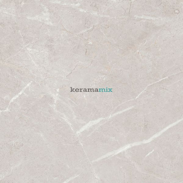 Керамогранит Teo Ceramics (Allore) | Arber Silver F P 600x600x8 R Mat 1 11658 фото