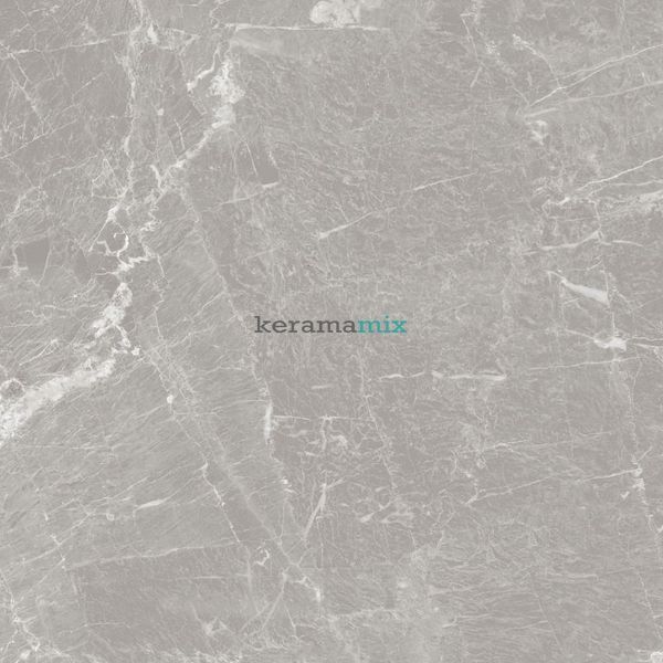 Керамограніт Inspiro | Modish Grey 600x600 см 16770 фото