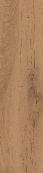 Плитка під дерево Teo Ceramics (Allore) | Alpha Nut F PR 300x1200x8 R Mat 1 17270 фото
