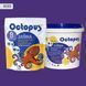 Двухкомпонентная эпоксидная затирка для плитки и мозаики ТМ "OCTOPUS", цвет 8585 1,25 кг. 209454 фото 1