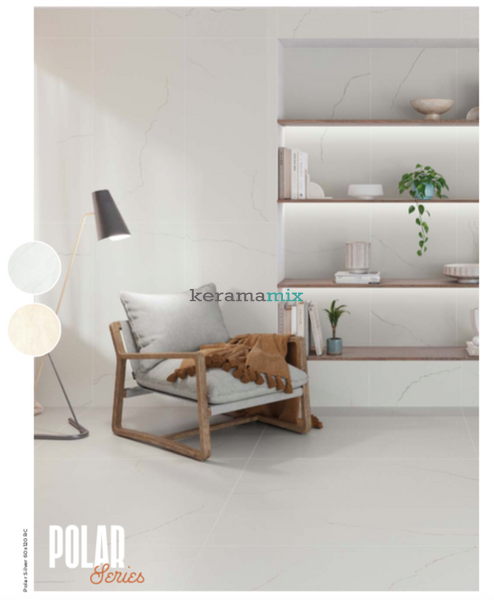 Керамограніт Rocersa | Polar Silver Mat 60x120 RC 19344 фото