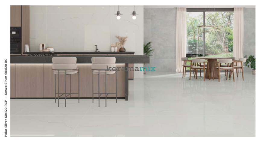Керамограніт Rocersa | Polar Silver Mat 60x120 RC 19344 фото