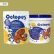 Двокомпонентна епоксидна затирка фуга для плитки і мозаїки ТМ "OCTOPUS", колір 8141 1,25 кг 209148 фото 1