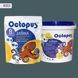 Двухкомпонентная эпоксидная затирка для плитки и мозаики ТМ "OCTOPUS", цвет 8353 1,25 кг. 209198 фото 1