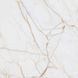 Керамограніт Teo Ceramics (Allore) | Antico Gold F P R Glossy 600X600 11568 фото 14