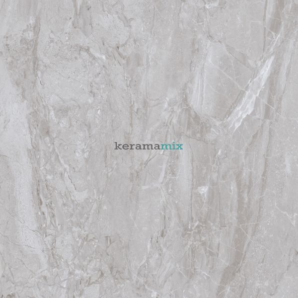 Керамограніт Teo Ceramics (Allore) | Argenta Grey F P R 600X600 Glossy 15686 фото