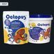 Двухкомпонентная эпоксидная затирка для плитки и мозаики ТМ "OCTOPUS", цвет 8357 1,25 кг. 209200 фото 1