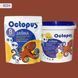 Двухкомпонентная эпоксидная затирка для плитки и мозаики ТМ "OCTOPUS", цвет 8224 1,25 кг. 209156 фото 1