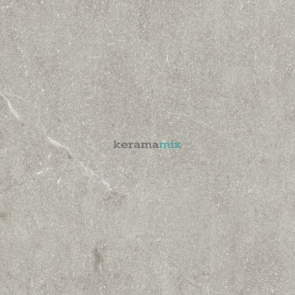 Керамограніт Ceramica Deseo | CANELA GREY 60x60 см 210015 фото