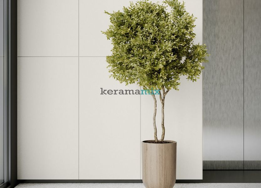 Керамогранит Cerrad | Monolight White 60 x 120 202473 фото