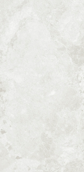 Керамогранит La Fenice | Amazing Bianco Rett 60x120 210268 фото